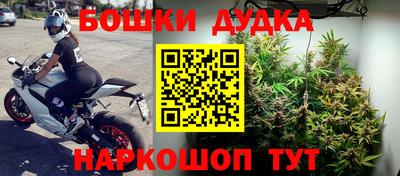 таблы Гусев