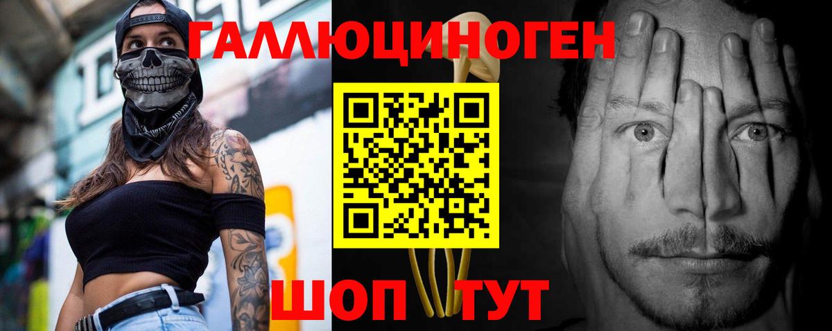 Людиново  Псилоцибиновые грибы Cubensis  Вход с VPN 